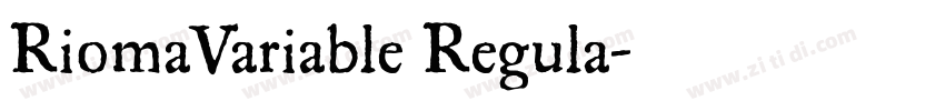 RiomaVariable Regula字体转换